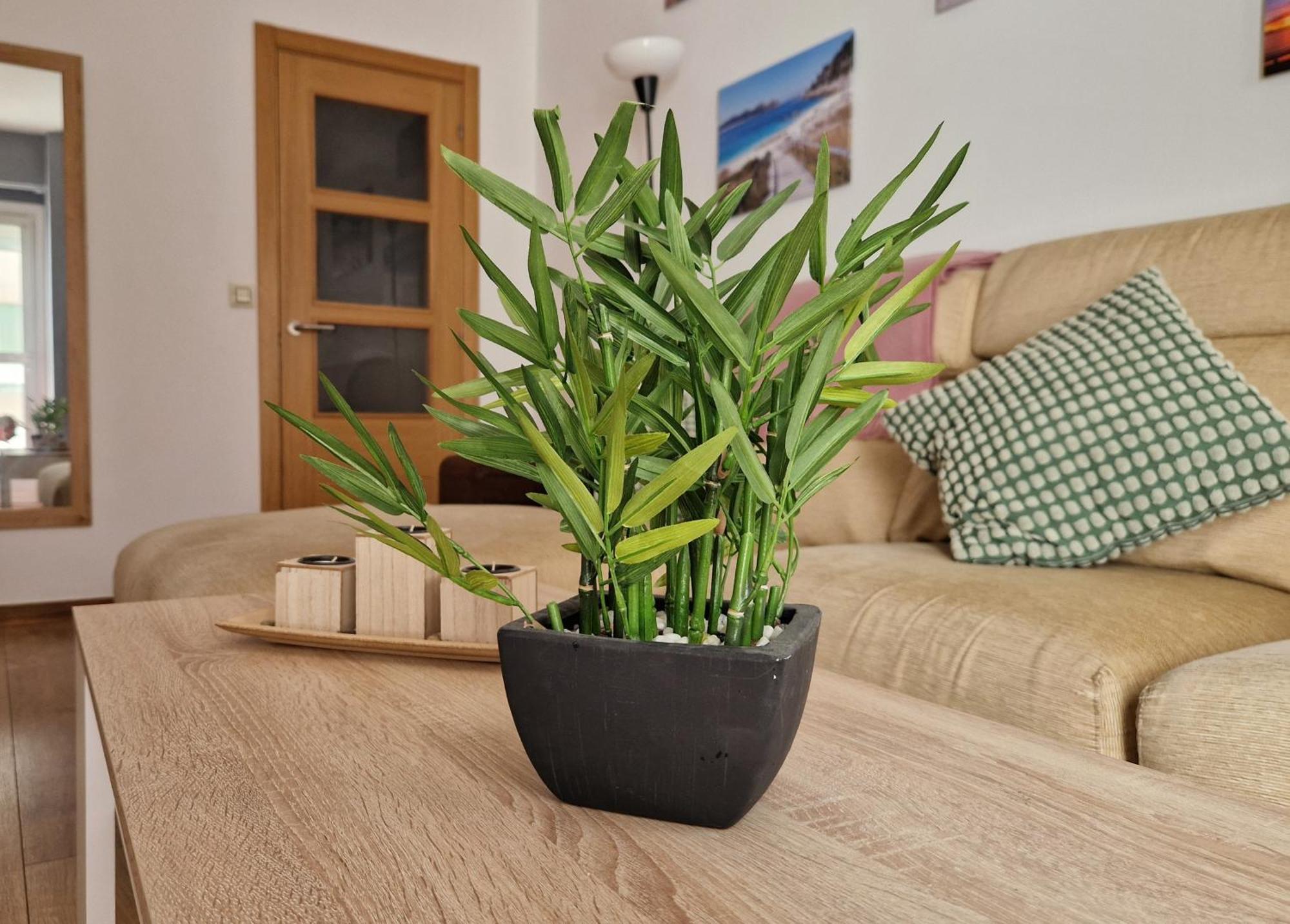 Playa Bouzas - - Parking Free